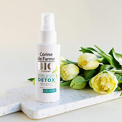 CORINE DE FARME Anti-Pollution Spray Detox Verbena 100ML Unisex Adulto, Negro, Estándar