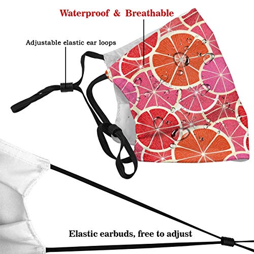 Cubierta de nariz reutilizable unisex Frutas Funky Grapefruit Citrus Print Tapones para el polvo Tapones para los oídos ajustables