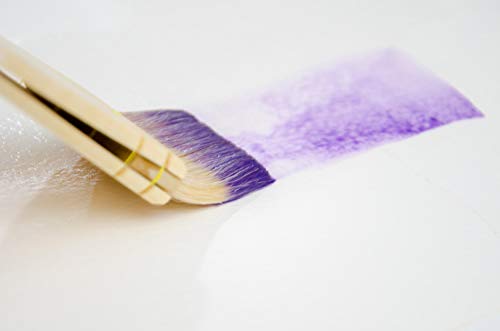 Curtisward Juego de pinceles de arte Ron Ranson acuarela La Merluza Juego de 4 pequeño, medio, grande & X Large