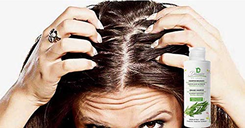 Damin Bio Nature - Champu Anticaida NATURAL Sin Sulfatos con Romero - Champú ORGANICO para Hombre y Mujer 200 ml