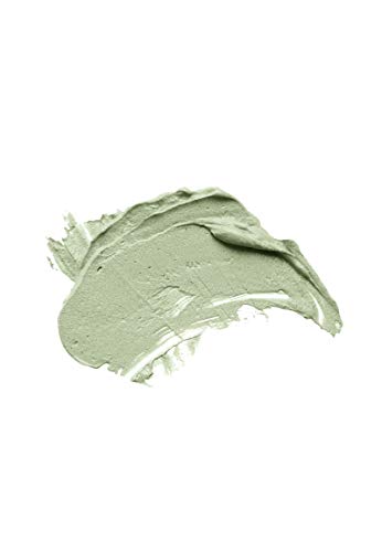 DETOX SKINFOOD - Mascarilla facial - Mascarilla facial hidratante con ingredientes naturales que hidratan, tonifican y nutren su piel - Vegan Skincare 100ml