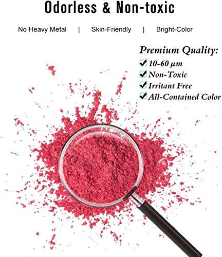 Dewel Mica Powder ,Polvo en Pigmento de Mica 24*10g para teñir Resina Epoxi,Hacer Slimo, Jabón,Bombas de Baño, Maquillaje, Uñas,Cosmético.etc