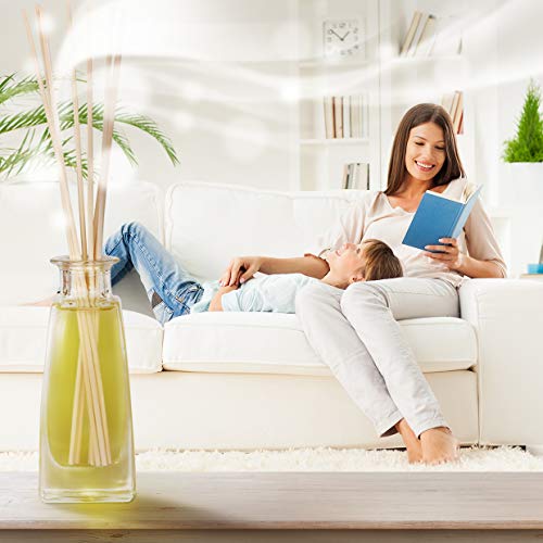 Difusor Aromas de Jazmíne 100ml - Aroma Fresco y Largo - con 8 palitos de bambú - 0% Alcohol - Puro Aceite Jasmine para Cuartos - Hogares - Oficinas - Restaurantes - Aromaterapia