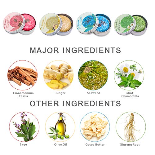 Djtanak Champú Sólido Organico 4 Pcs, Natural Herbal Champú para, Tratamiento de diferentes fragancias para la caida del pelo, anticaspa (Champú de jengibre, algas marinas, canela y menta)