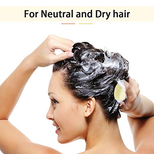 Djtanak Hair Shampoo Bar 2 paquetes, champú de limón y miel, hidratante, refrescante y control de aceite, jabón de hierbas orgánico natural, viajes y cuidado del cabello en familia