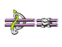 DOJA INDUSTRIAL | GOMA ANCLA de 5cm | PACK 100 | Tensor goma de caucho para tutores para plantas huerto urbano | Tensor elastico lona camping piscina | Clips plantas flores olivos | TENSION FUERTE