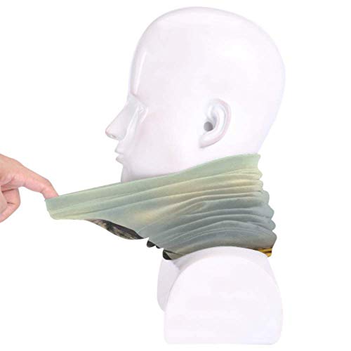 Elefante africano Parque Nacional de Masai Mara Máscara de pasamontañas de cara completa Correr Sombreros Cara de los niños Máscara de pañuelo Multifunción para el clima frío de invierno Mantener el