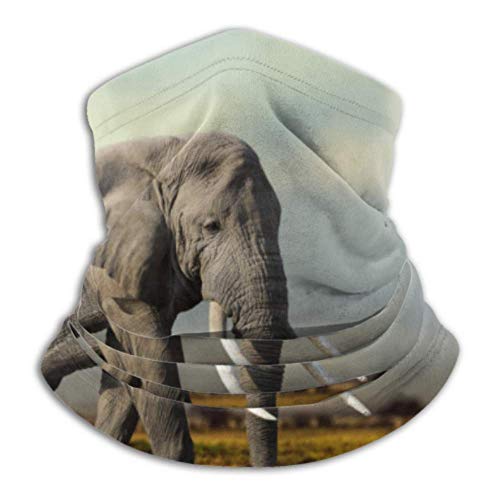 Elefante africano Parque Nacional de Masai Mara Máscara de pasamontañas de cara completa Correr Sombreros Cara de los niños Máscara de pañuelo Multifunción para el clima frío de invierno Mantener el