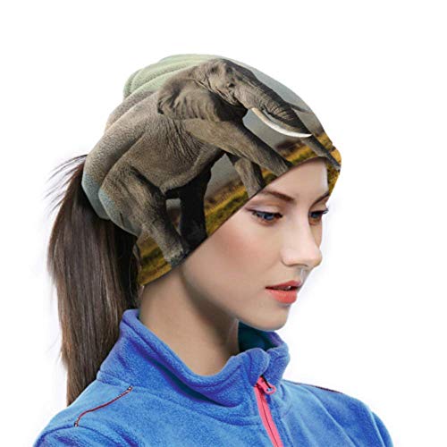 Elefante africano Parque Nacional de Masai Mara Máscara de pasamontañas de cara completa Correr Sombreros Cara de los niños Máscara de pañuelo Multifunción para el clima frío de invierno Mantener el