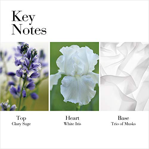 Elizabeth Arden Set White Tea EDT 100 ml Spray y Loción Corporal 100 ml