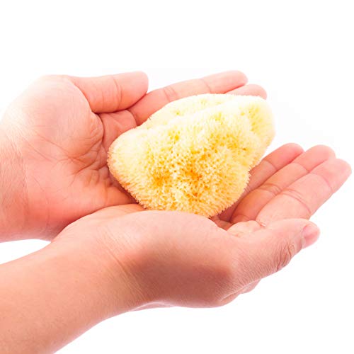 Esponja para bebés Zephyr®, esponja de mar natural para el aseo del bebé (5-8 cm) - Esponja de baño vegetal y lavable para bebés