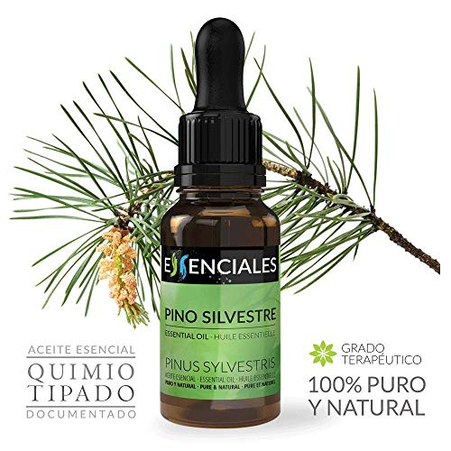 Essenciales - Aceite Esencial de Pino Silvestre, 100% Puro, 30 ml | Aceite Esencial Pinus Sylvestris