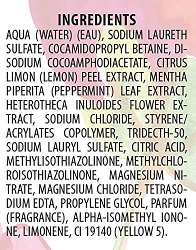 Etolab - Gel de ducha con extractos de menta, árnica y limón (1000 ml)