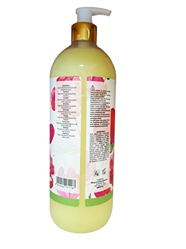 Etolab - Gel de ducha con extractos de menta, árnica y limón (1000 ml)