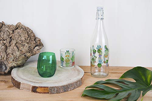 Excelsa - Botella Transparente con decoración de Cactus