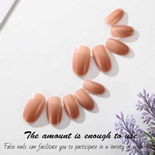 Fashband Fashion Fake Nails Pink Full Cover Acrílico Oval False Nail Daily Party Clip Press On Nails 24 piezas para mujeres y niñas