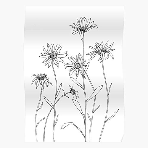 Floral Daisy Nature Black White And Flower Camomile Impresionantes carteles para la decoración de la habitación impresos con la última tecnología moderna sobre papel semibrillante