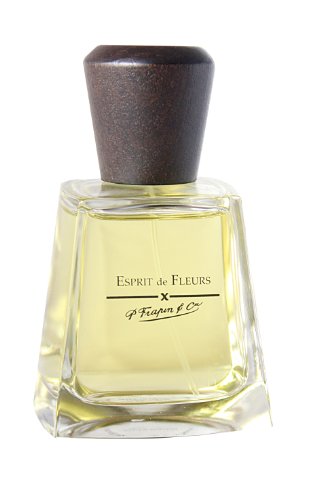frapin Esprit de fleursh omme/Men, Eau de Parfum, vaporisateur/Spray, 100 ml