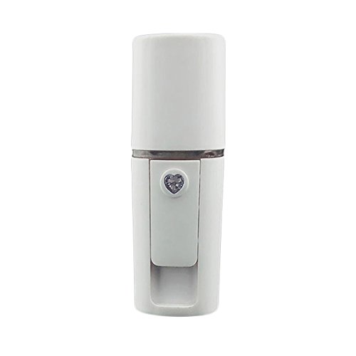 Frcolor Spray Handy Nano Mister Facial Mist Face Sprayer Belleza Cuidado de la piel del equipo con cable USB para la cara (blanco)