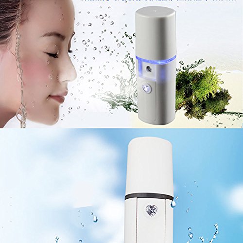 Frcolor Spray Handy Nano Mister Facial Mist Face Sprayer Belleza Cuidado de la piel del equipo con cable USB para la cara (blanco)