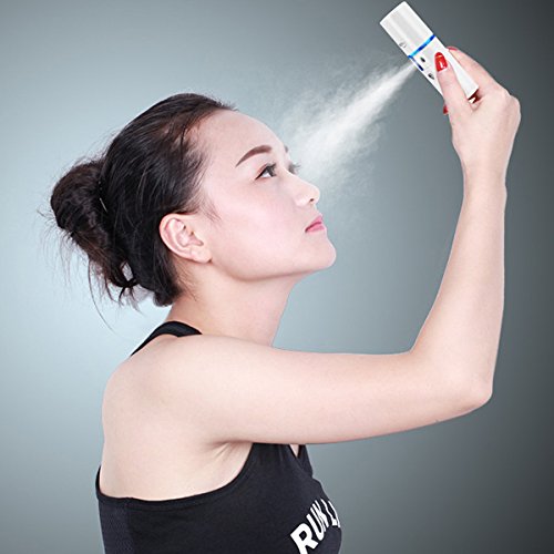 Frcolor Spray Handy Nano Mister Facial Mist Face Sprayer Belleza Cuidado de la piel del equipo con cable USB para la cara (blanco)