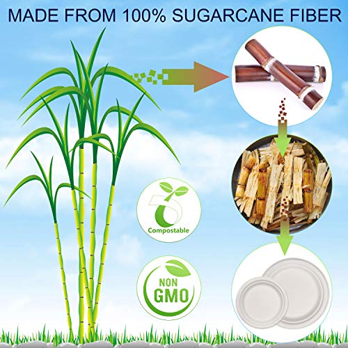 Fuyit Platos Desechables, 125 Piezas Vajilla, Incluye Biodegradable 25 Platos(9 Pulgadas), 25 Platos(7 Pulgadas), 25 Tenedores, 25 Cuchillos y 25 Cucharas para Fiesta, Picnic, Camping