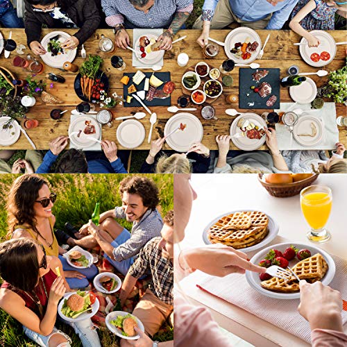 Fuyit Platos Desechables, 125 Piezas Vajilla, Incluye Biodegradable 25 Platos(9 Pulgadas), 25 Platos(7 Pulgadas), 25 Tenedores, 25 Cuchillos y 25 Cucharas para Fiesta, Picnic, Camping