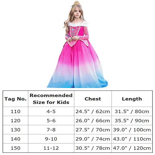FYMNSI Disfraz de Princesa Aurora Vestido Traje de Bella Durmiente para Niña Sleeping Beauty Carnaval Cosplay Elegante Manga Larga Gradiente Vestido de Noche Largo Halloween Navidad Partido Disfraces