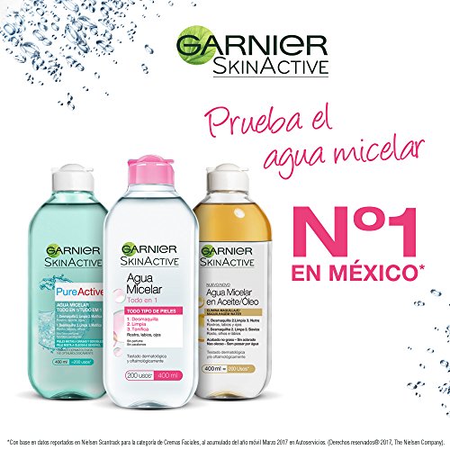 Garnier Skin Active - Pure Active Agua Micelar, Pieles Mixtas y con Imperfecciones, 400 ml