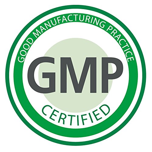 Ginkgo Biloba, 500 mg, 90 Cápsulas