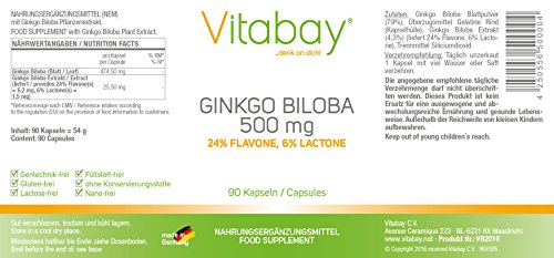 Ginkgo Biloba, 500 mg, 90 Cápsulas