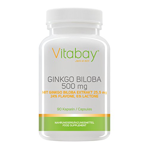 Ginkgo Biloba, 500 mg, 90 Cápsulas