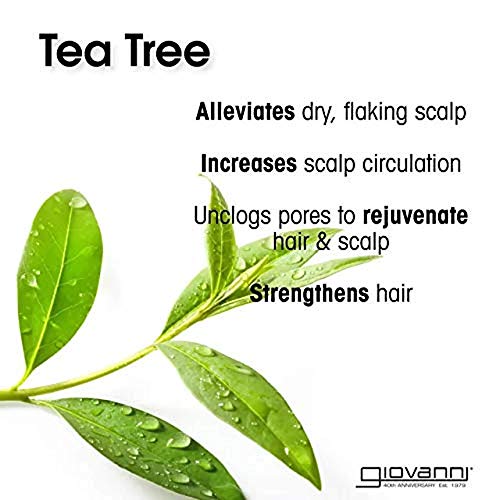 Giovanni Tea Tree Triple Treat Shampoo - 8.5 oz by Giovanni