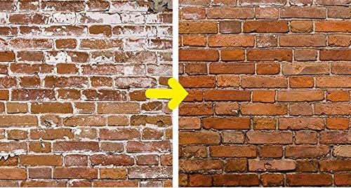 Guard Industrie Decap'LatancesGuard Ecológico 5L - Limpiador y decapante elimina las latas y los velos de cemento, los depósitos de cal y las eflorescencias: hasta 30 m2, blanco