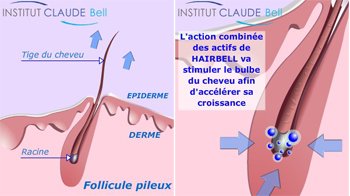 Hairbell PRO Kit champú 1000 ml y bálsamo 1000 ml, acelerador de crecimiento del cabello