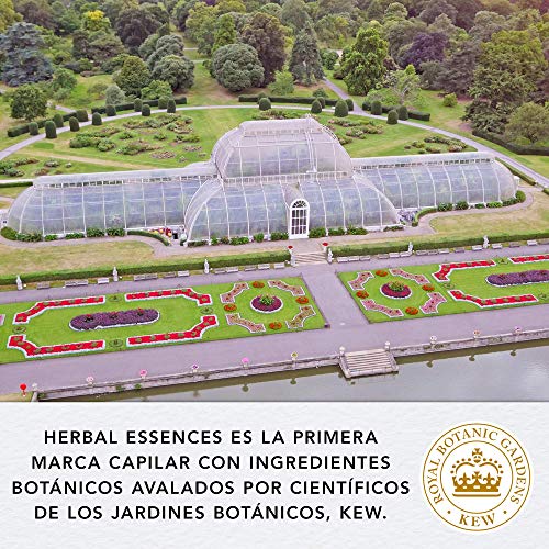 Herbal Essences Bio:renew, sin Sulfatos, con Aloe Intenso y Hemp, Champú 2 x 380 ml + Acondiciondor 275 ml, en colaboración con el Royal Botanic Gardens de KEW