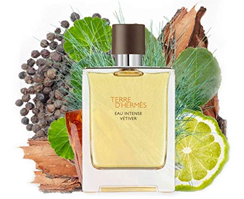 Hermes Terre D'hermes Eau Intense Vetiver Eau De Parfum Spray 100 Ml For Men