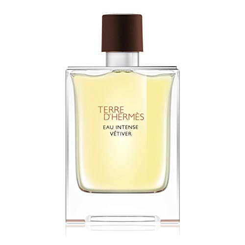 Hermes Terre D'hermes Eau Intense Vetiver Eau De Parfum Spray 100 Ml For Men