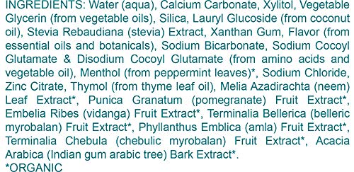 Himalaya Complete Care Toothpastes (Simply Peppermint, 1-Pack)