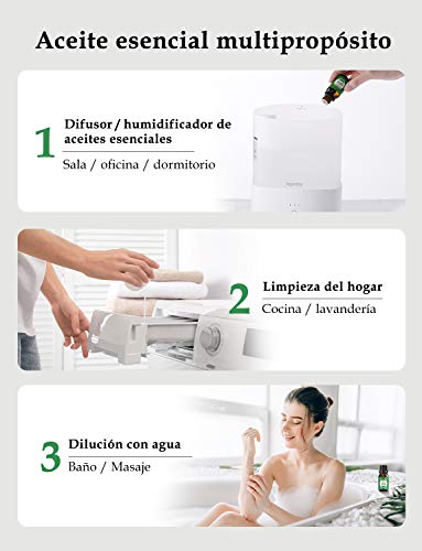 Homasy 50ml Aceite Esencial de Arbol de Té 100% Puro, Aceite Perfumado sin Diluir, Natural, Orgánico para Difusor, Relax, Alivio, Sueño, Piel, Cuerpo, Masaje, Aceites Naturales para el Hogar Interior