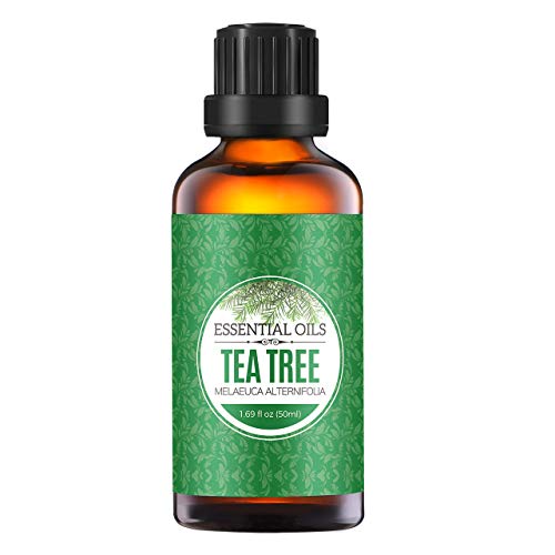 Homasy 50ml Aceite Esencial de Arbol de Té 100% Puro, Aceite Perfumado sin Diluir, Natural, Orgánico para Difusor, Relax, Alivio, Sueño, Piel, Cuerpo, Masaje, Aceites Naturales para el Hogar Interior