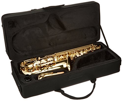 J. Michael AL500 - Saxo alto