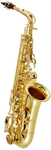 J. Michael AL500 - Saxo alto