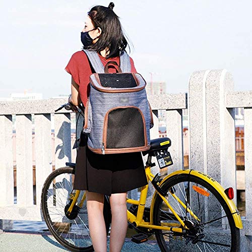 JJL Prima Animal doméstico del Mochila for Perros y Gatos pequeños |Diseño ventilado, Correa de Seguridad, Hebilla de Soporte |Diseñado for Viajes, Senderismo y Uso al Aire Libre (Color : B)