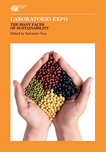 Laboratorio Expo: The Many Faces of Sustainability (English Edition)