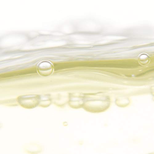 Laboratorios Babé - Champú Antigrasa 250 ml, Pelo Graso, Elimina la Grasa, Seborregulador, Cabello más Suave