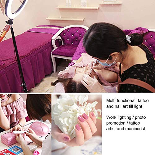 LED Live Streaming Ring Light, Fotografía Selfie Tattoo Fill Light + Transmisión en vivo Autotemporizador Beauty Fill Light Anillo Lámpara para Mujeres y Hombres y Salón y Belleza Blog Maquillaje Vide
