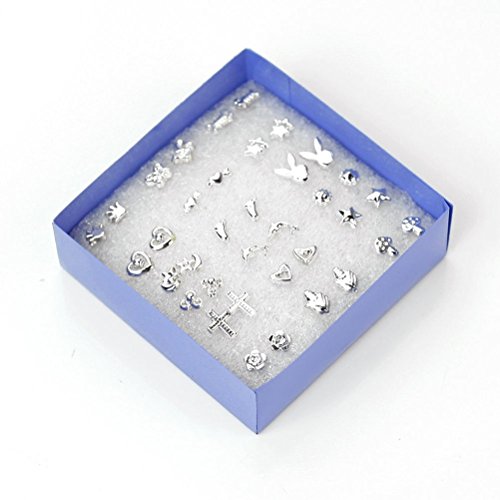 LEORX Zarcillos Plata Mezclan Estilos - 18 Par