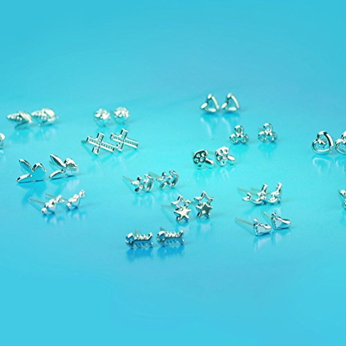 LEORX Zarcillos Plata Mezclan Estilos - 18 Par