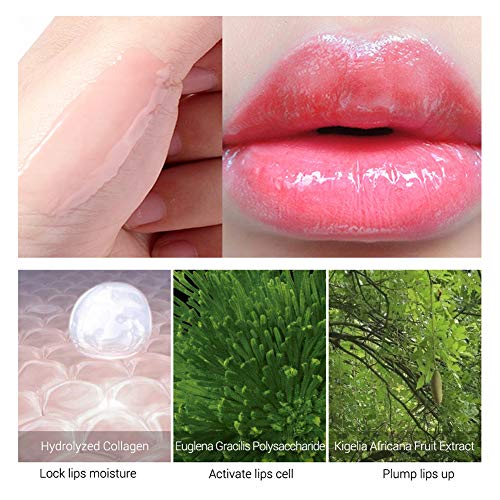 Lip gloss, Lip Plumper, Essence Lip, Lip Serum, Lipstick, Lip Enhancer, Para Aumentar la Elasticidad del Labio, Reducir Líneas Finas, Hidratación Labial, Labios Sexy Más Llenos e Hidratados
